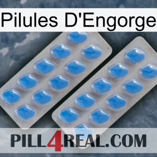 Engorge Pills 23